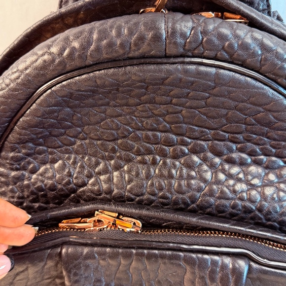 Alexander wang dumbo backpack with rosegold hardware main image 10
